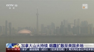 世界杯直播_世界杯直播高清入口在线看平台_世界杯直播无插件赛事视频
