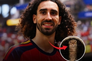 劲球直播_足球赛事直播_篮球赛事直播_NBA|CBA|英超直播