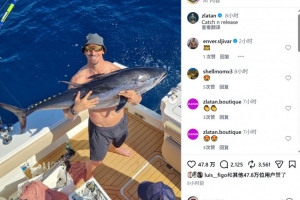 世界杯直播_世界杯直播免费高清在线观看_世界杯直播在线无插件