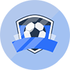 BSV霍尔扎森